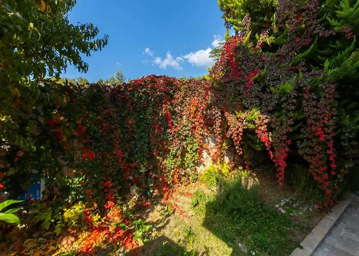 Islamlar Village 3 Bedroom